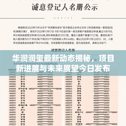 华润润玺最新动态揭秘，项目新进展与未来展望今日发布
