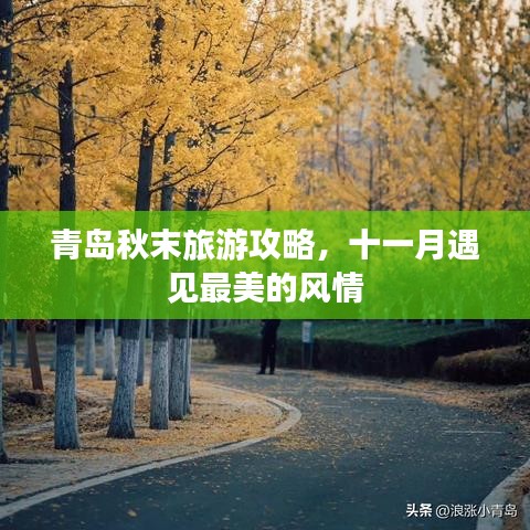 青岛秋末旅游攻略，十一月遇见最美的风情