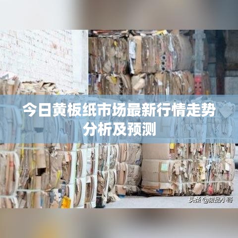 今日黄板纸市场最新行情走势分析及预测
