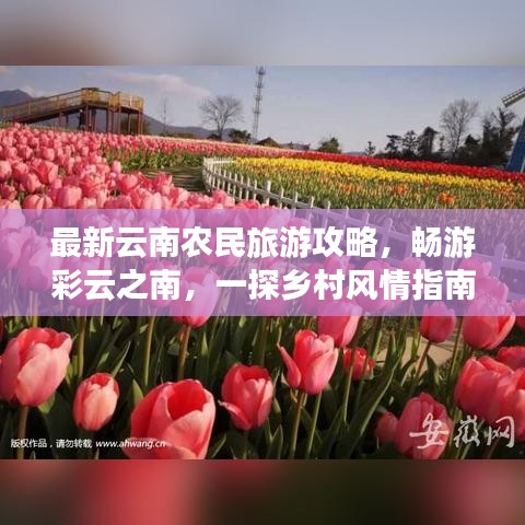 最新云南农民旅游攻略，畅游彩云之南，一探乡村风情指南