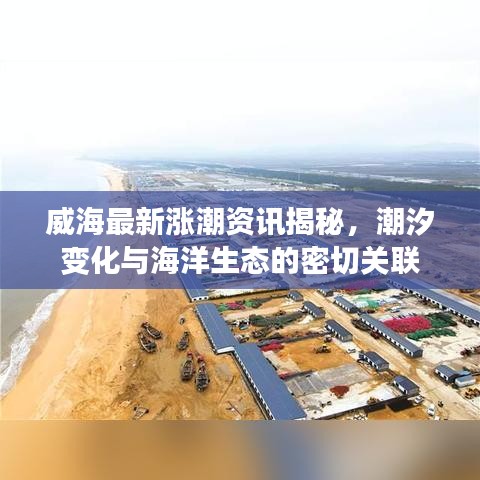 威海最新涨潮资讯揭秘，潮汐变化与海洋生态的密切关联