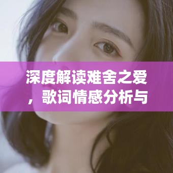 深度解读难舍之爱，歌词情感分析与百度之歌的魅力探索
