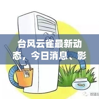 台风云雀最新动态，今日消息、影响分析与预测
