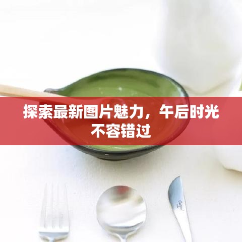 探索最新图片魅力，午后时光不容错过