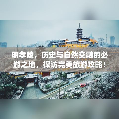 明孝陵，历史与自然交融的必游之地，探访完美旅游攻略！