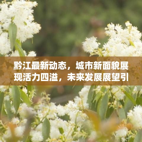 黔江最新动态，城市新面貌展现活力四溢，未来发展展望引人瞩目
