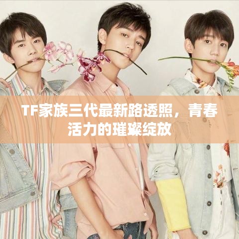 TF家族三代最新路透照，青春活力的璀璨绽放