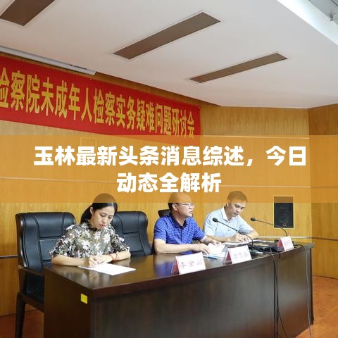 玉林最新头条消息综述，今日动态全解析