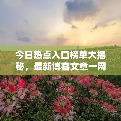 今日热点入口榜单大揭秘，最新博客文章一网打尽！