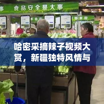 哈密采摘辣子视频大赏，新疆独特风情与美食文化探寻之旅