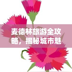 麦德林旅游全攻略，揭秘城市魅力与精华体验