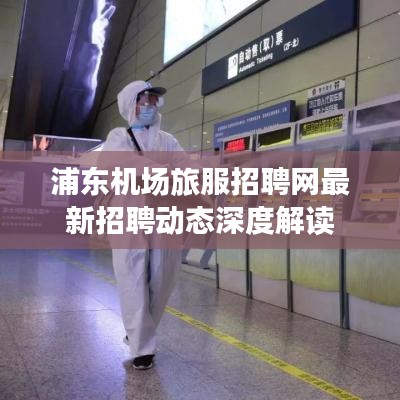 浦东机场旅服招聘网最新招聘动态深度解读