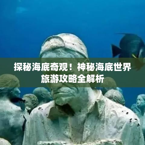 探秘海底奇观！神秘海底世界旅游攻略全解析