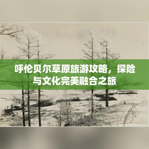 呼伦贝尔草原旅游攻略，探险与文化完美融合之旅