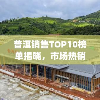 普洱销售TOP10榜单揭晓，市场热销普洱茶叶大揭秘！