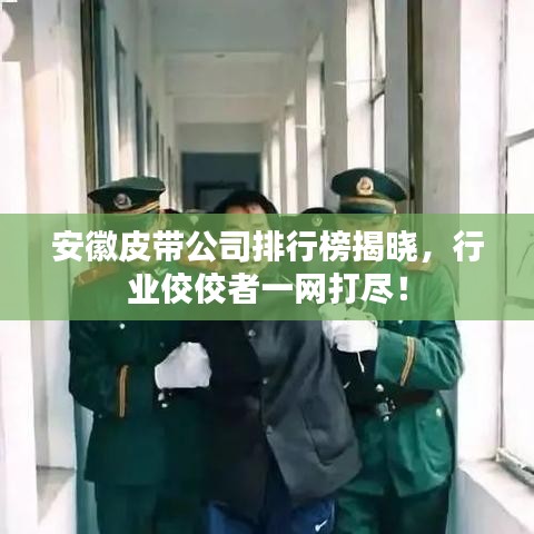 安徽皮带公司排行榜揭晓，行业佼佼者一网打尽！