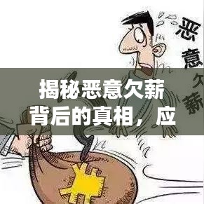 揭秘恶意欠薪背后的真相，应对策略与行动指南！