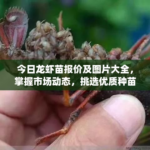 绝无仅有 第3页