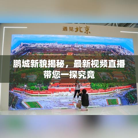 鹏城新貌揭秘，最新视频直播带您一探究竟