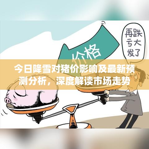 今日降雪对猪价影响及最新预测分析，深度解读市场走势