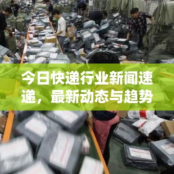 今日快递行业新闻速递，最新动态与趋势深度解析