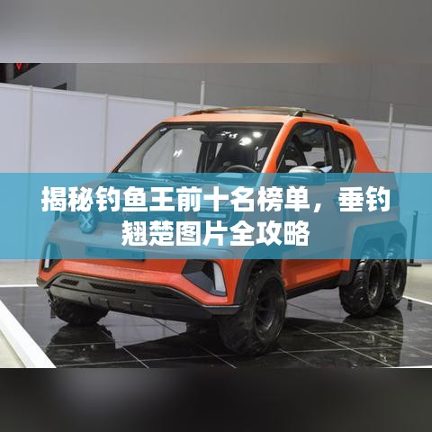 揭秘钓鱼王前十名榜单，垂钓翘楚图片全攻略
