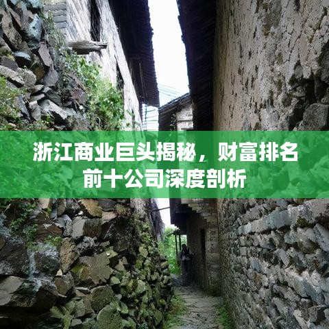 浙江商业巨头揭秘，财富排名前十公司深度剖析