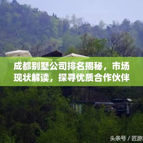成都别墅公司排名揭秘，市场现状解读，探寻优质合作伙伴！