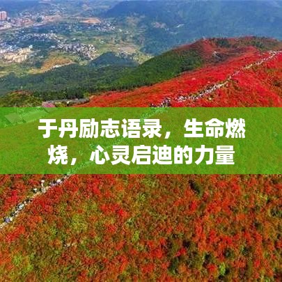 于丹励志语录，生命燃烧，心灵启迪的力量
