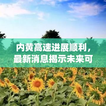 内黄高速进展顺利，最新消息揭示未来可期！
