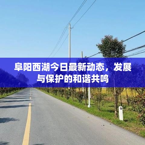 阜阳西湖今日最新动态，发展与保护的和谐共鸣