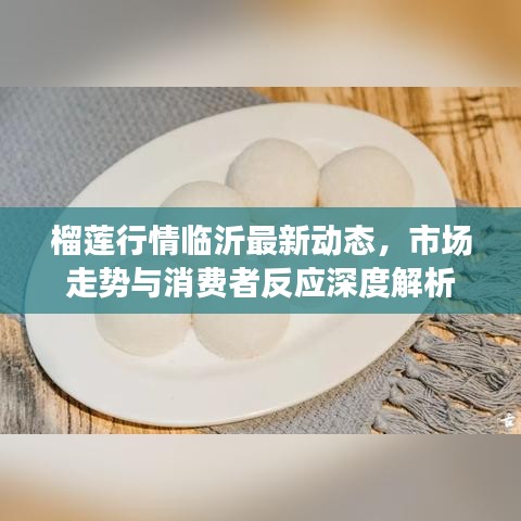 榴莲行情临沂最新动态，市场走势与消费者反应深度解析
