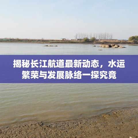 揭秘长江航道最新动态，水运繁荣与发展脉络一探究竟