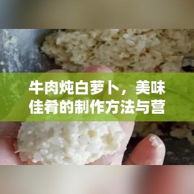 牛肉炖白萝卜，美味佳肴的制作方法与营养解析