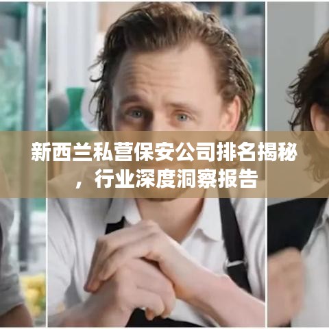新西兰私营保安公司排名揭秘，行业深度洞察报告