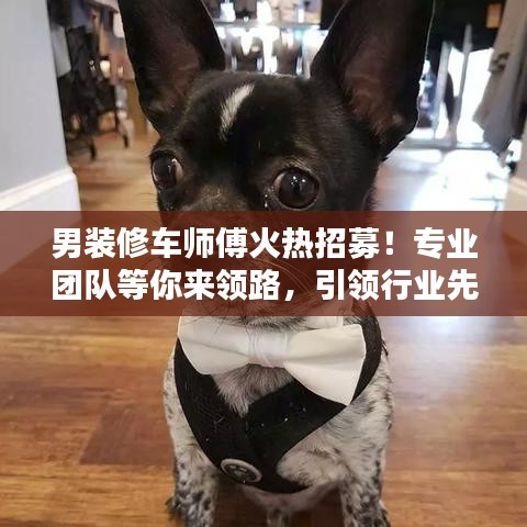 男装修车师傅火热招募！专业团队等你来领路，引领行业先锋！