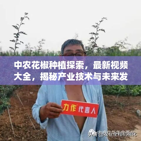 中农花椒种植探索，最新视频大全，揭秘产业技术与未来发展