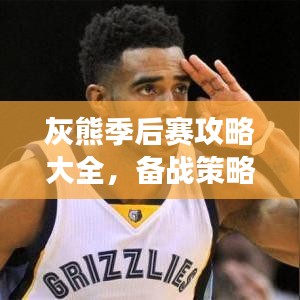 灰熊季后赛攻略大全，备战策略揭秘、关键球员分析及比赛前瞻展望