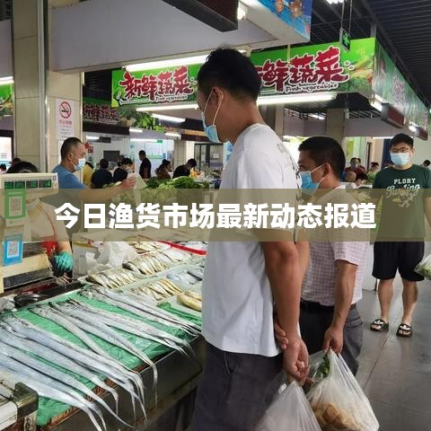 今日渔货市场最新动态报道