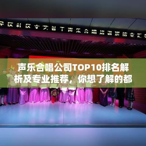 声乐合唱公司TOP10排名解析及专业推荐，你想了解的都在这里！