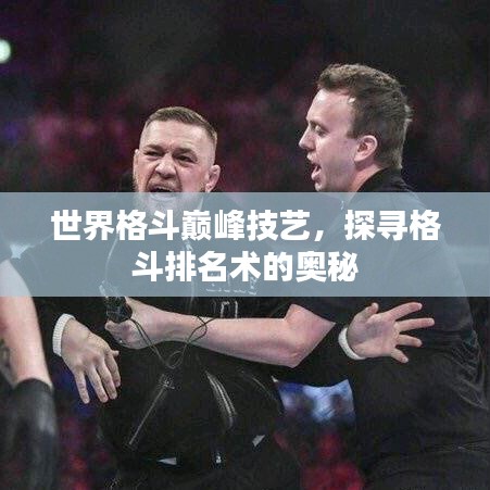 世界格斗巅峰技艺，探寻格斗排名术的奥秘