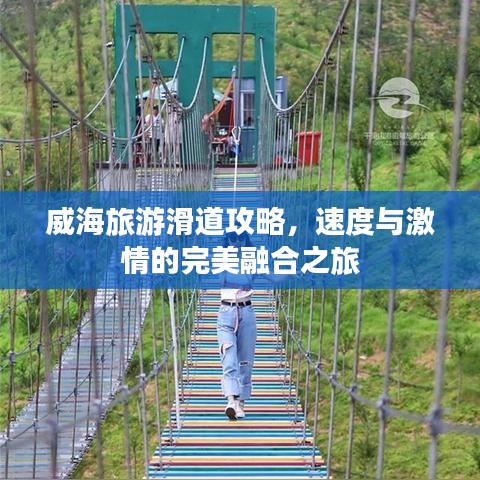 威海旅游滑道攻略，速度与激情的完美融合之旅