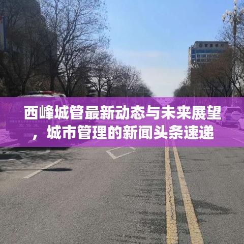 西峰城管最新动态与未来展望，城市管理的新闻头条速递