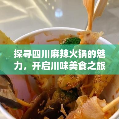 探寻四川麻辣火锅的魅力，开启川味美食之旅！
