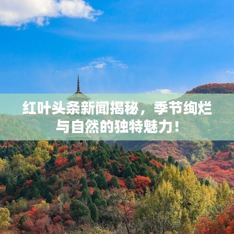 红叶头条新闻揭秘，季节绚烂与自然的独特魅力！