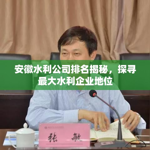 安徽水利公司排名揭秘，探寻最大水利企业地位