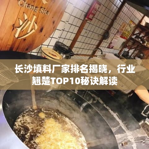 长沙填料厂家排名揭晓，行业翘楚TOP10秘诀解读