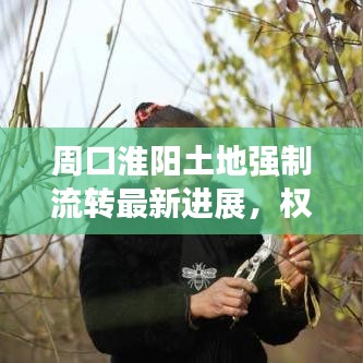 周口淮阳土地强制流转最新进展，权威解读与动态更新