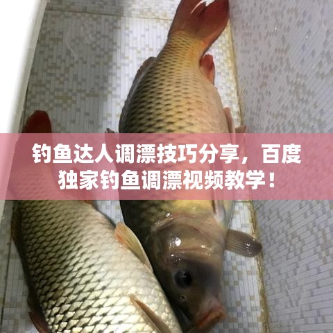 钓鱼达人调漂技巧分享，百度独家钓鱼调漂视频教学！