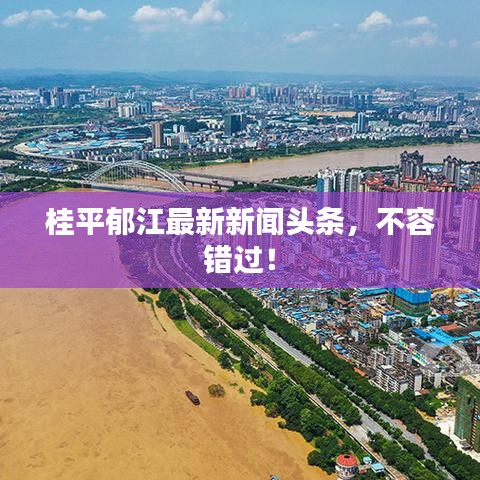 桂平郁江最新新闻头条，不容错过！